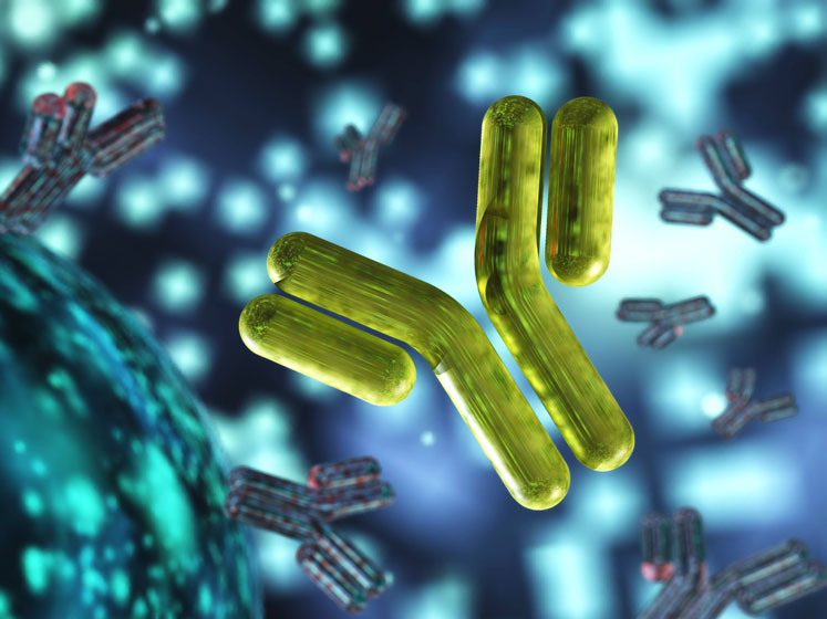 ProBioGen teams up with Granite Bio for cell line development and GMP manufacturing services