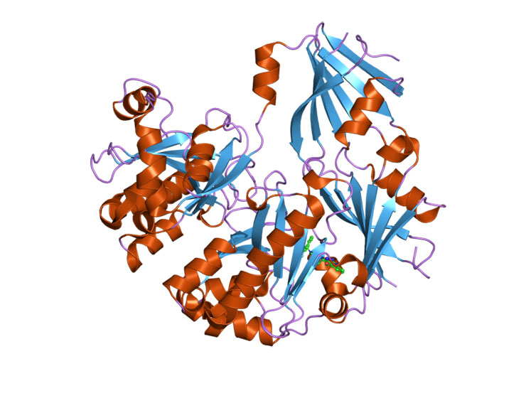 Process optimisation with biocatalysis