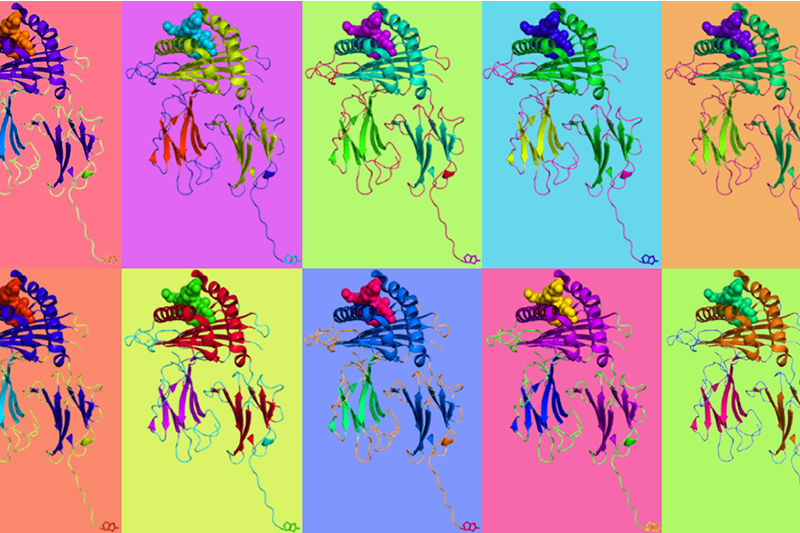 ProImmune Ltd introduces ProVE SL Self-Loading MHC Class I Monomers to improve T cell research flexibility