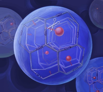 ProLynx collaborates with Daiichi Sankyo on drug delivery 