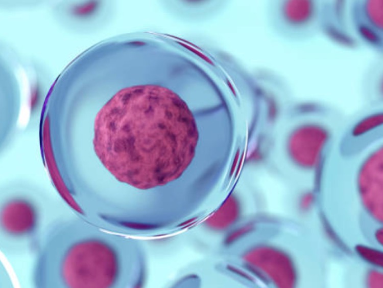 PromoCell expands cell disease model portfolio