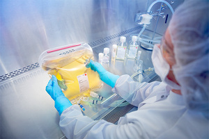 PromoCell launches GMP cell culture media services for cell therapy