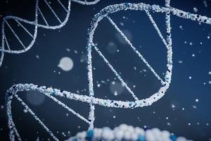 Quantoom collaborates with Stevanato to elevate mRNA production