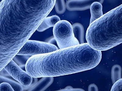 Recce granted Qualified Infectious Disease Product Designation