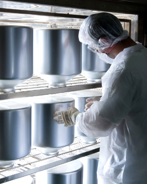 Recipharm appoints Joaquim Mascaro as Chief Financial Officer