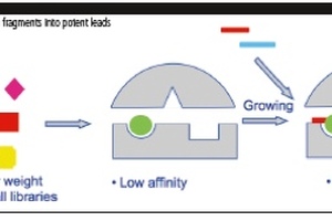 Reducing attrition early in discovery