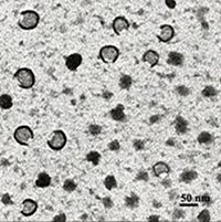 Researchers deliver Alzheimer’s drug to the brain