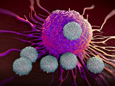 Researchers find switch turning on immune cell tumour clearing ability