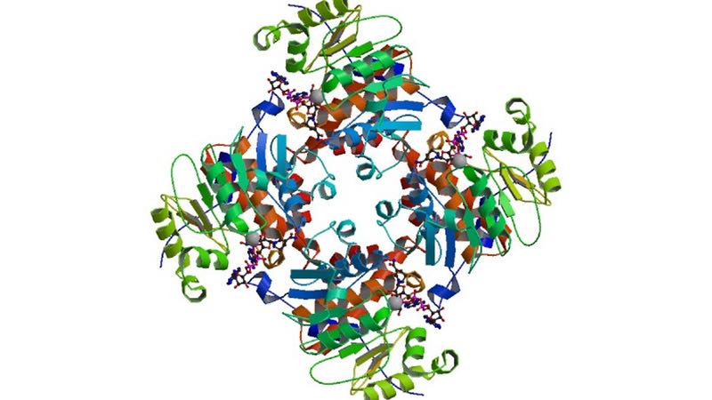 Researchers identify genetic cause of childhood disorder