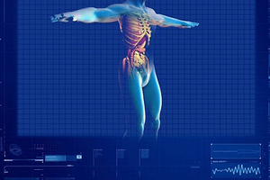 Researchers in Canada develop computer kidney for safer medication tests

