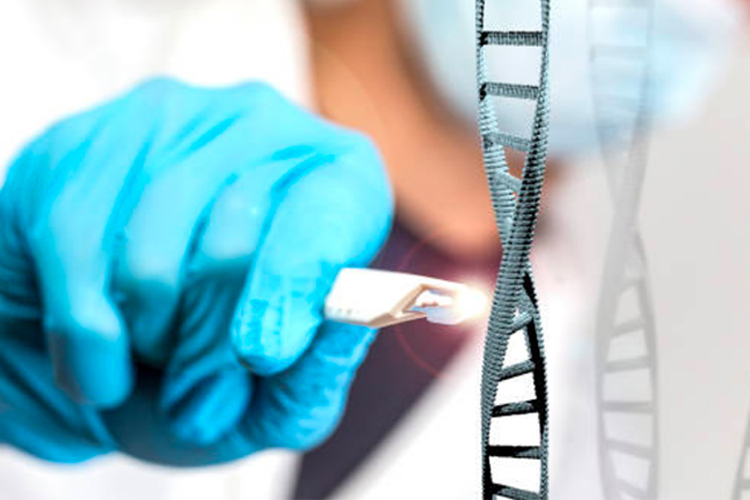 Researchers use CRISPR to edit DNA outside of the cell for the first time