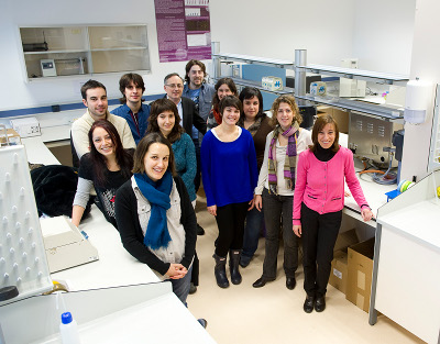 Researchers use lipid nanoparticles for delivering genes and drugs