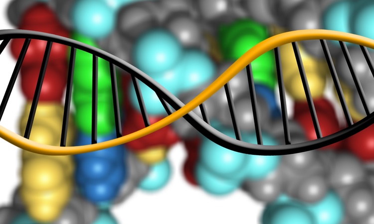 Riding the wave of protein revolution