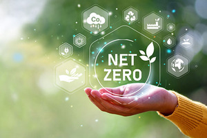 A roadmap for net zero success