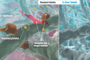 Rousselot to highlight new cell viability study on X-Pure at BIO 2019
