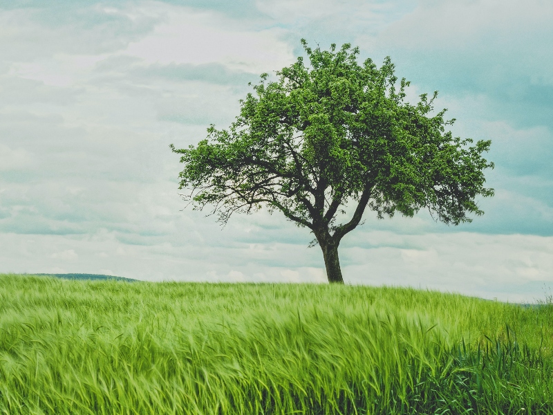 Samsung Biologics earns gold rating from EcoVadis