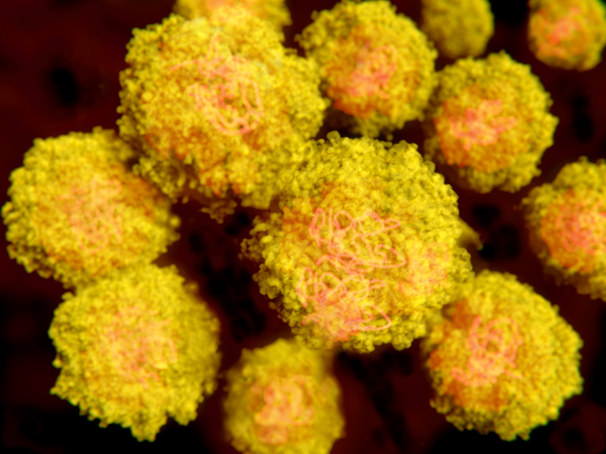 Sanofi Pasteur, Fiocruz and WRAIR agree to collaborate on Zika vaccine research