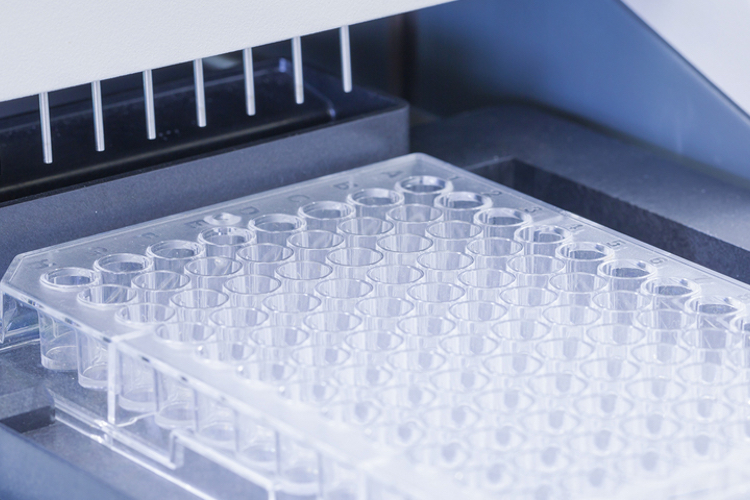 Sartorius adds cell culture media company to portfolio