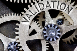 Save on validation costs with Baltimore Innovations’ new consultation services