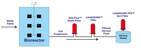 Scaling-up disposable systems for depth filtration in cell culture clarification