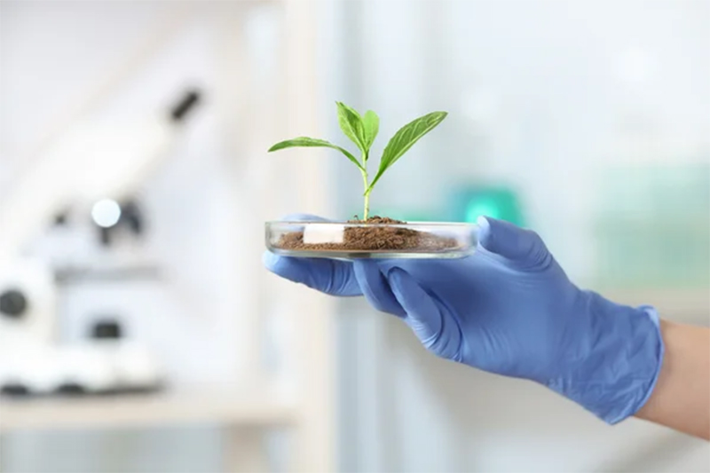 Science based targets initiative confirms CO2e reduction targets