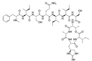 Scientific breakthrough with superbug-killing teixobactin
