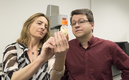 Scientists develop an intelligent gel that attacks cancer