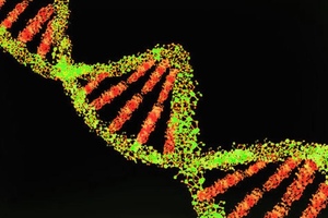 Scientists discover compound that targets cancer cells 