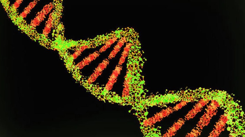 Scientists discover compound that targets cancer cells 