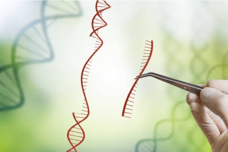 Scientists move closer to Huntington’s disease treatment