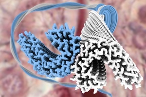Scientists uncover tau filament structures from Alzheimer’s