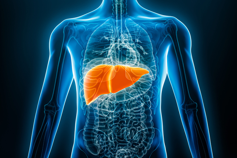SeaBeLife's SBL01 acute liver failure drug candidate receives ODD from the EMA