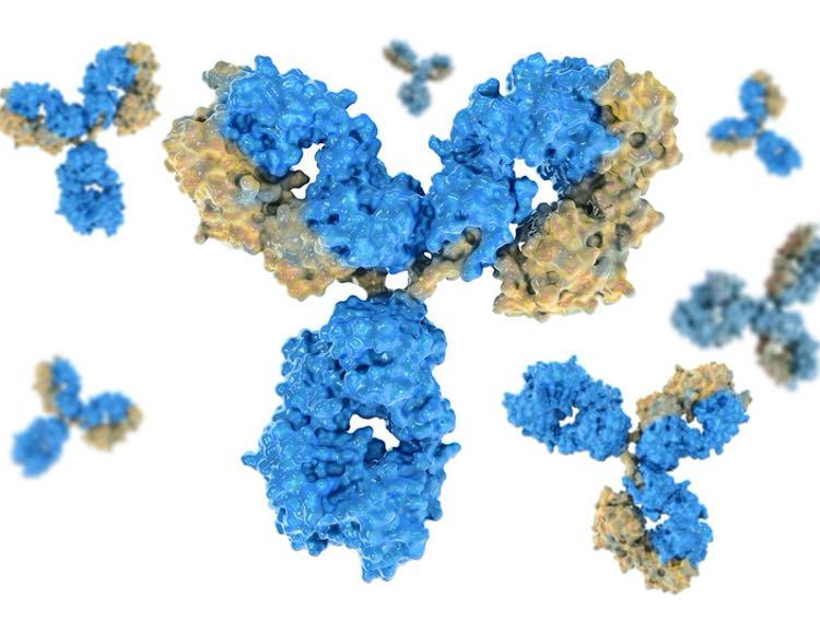 Servier acquires therapeutic antibody discovery specialist Symphogen