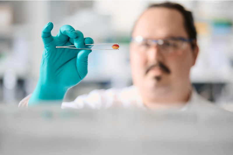 Softgel Capsules. A solution for poorly soluble and low bioavailability APIs