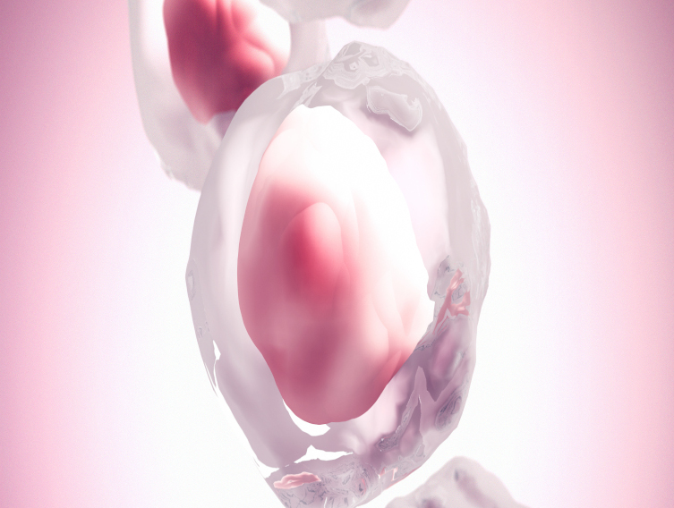 Solentim launches workflow for single stem cell cloning