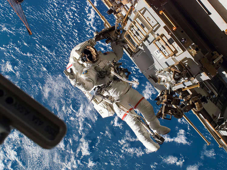 Space travel puts mitochondria’s central role in the spotlight