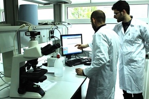 Spanish device produces packaged batches of stem cells for regenerative medicine