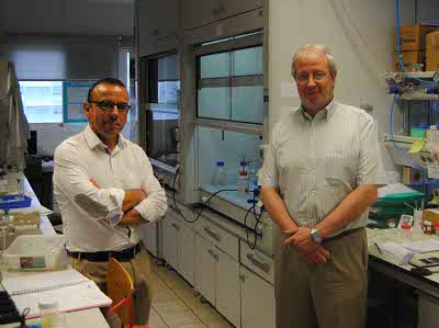 Spanish team develops nanodevice with potential use for anti-aging drugs
