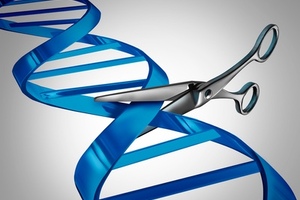 Sphere Fluidics and Geneva Biotech receive Eurostars grant