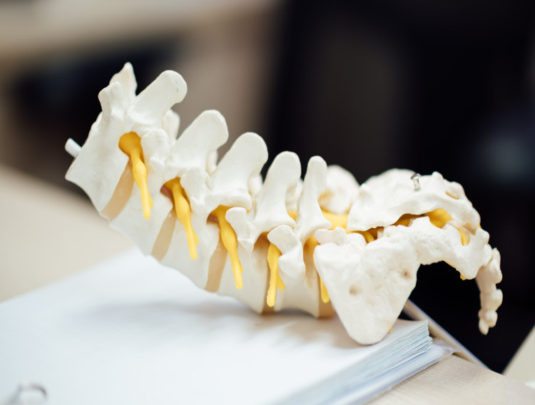 Spinal stem cell treatment demonstrated safe and tolerable