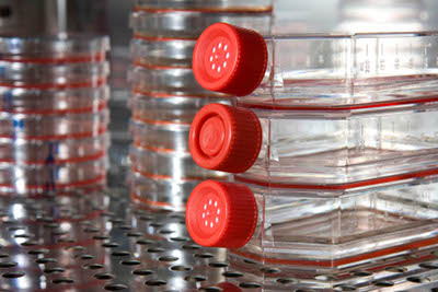 Spinnovation Biologics predicts bioproduction performance