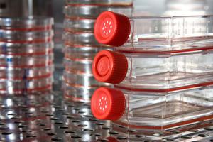 Spinnovation introduces approach to improve biologicals manufacturing processes 