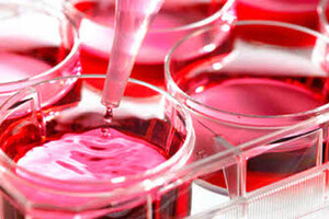 Spinnovation launches biologics analysis division