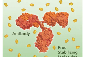 Stabilising biologics for vaccine production