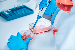Standardising cell-based potency assays for biologics lot release: the case for cryopreserved ready-to-use cell systems (part II)