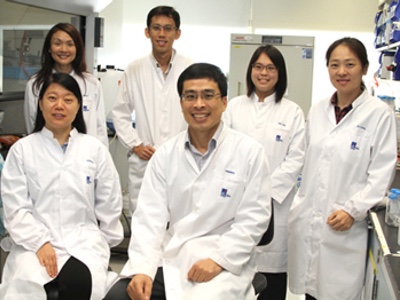 Stem cell human heart tissue improves drug testing