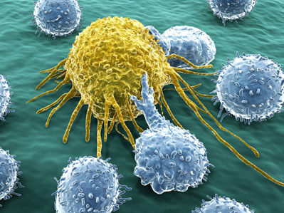 Stemline inlicenses worldwide rights to novel selective RET inhibitor (SL-1001)