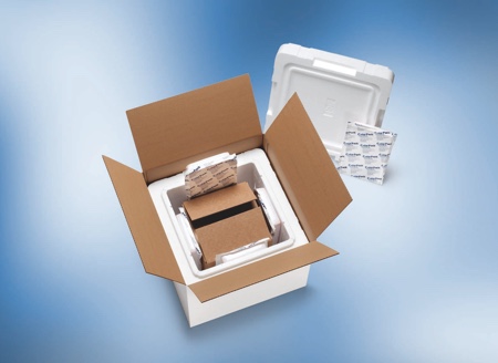 Storopack offers thermal delivery systems for temperature-sensitive products