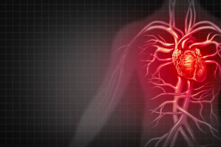 Strategic collaboration to develop HDL based pharmaceuticals