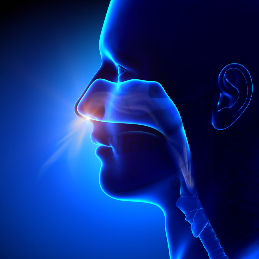Study with Aptar’s nasal delivery system validates insulin spray for direct-to-brain Alzheimer’s drug